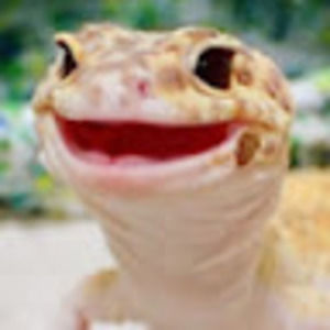 Meet your Posher, Gia